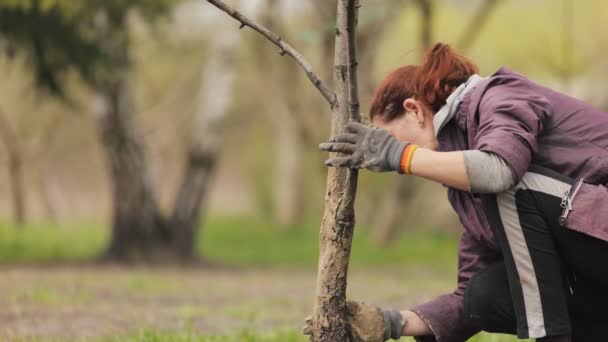 Kobieta rolnik odzyskujący korę drzewa — Wideo stockowe