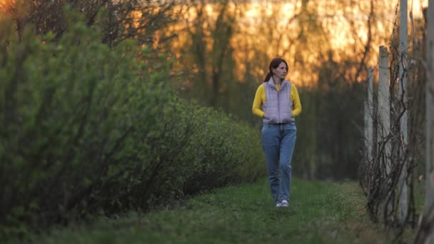 現在の茂みの中を歩く白人農家 — ストック動画