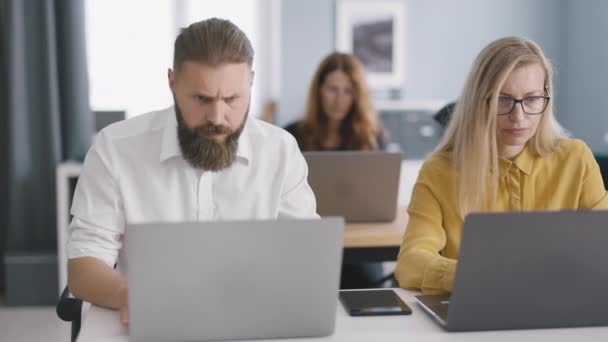 Modern Ofiste Birlikte Oturan Konsantre Ofis Çalışanları Kablosuz Dizüstü Bilgisayarlar — Stok video