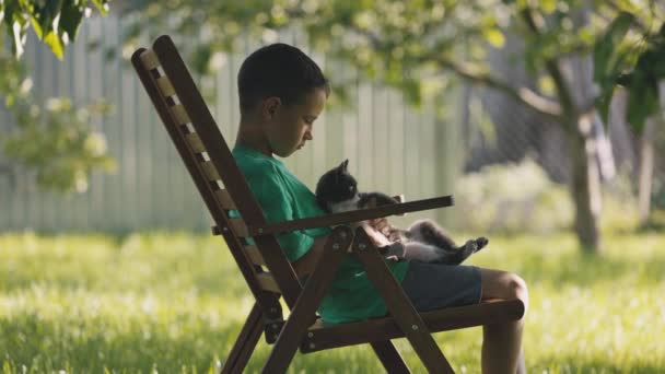 Long Shot Little Boy Relaxing Garden Playing Cat Childhood Outdoors — Stok Video