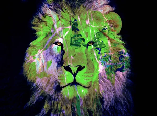 Colorful Illustration Wild Lion Head Long Hair Darkness Background Wallpaper — Stock Photo, Image