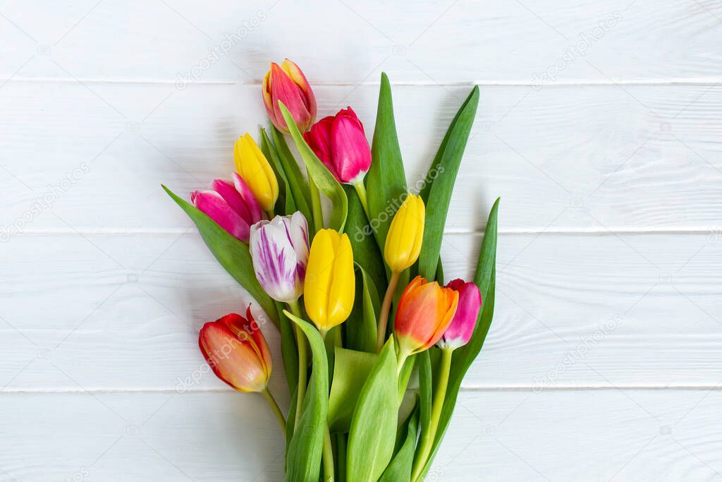 Colorful tulips flower composition over white wooden table background with copy space. Love, Mothers day, Womens day and spring time flower background. Spring nature background.