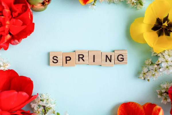 Spring card. Wooden letters. Mix of spring flowers all around. The concept of the beginning of spring. Minimal natural luxury — Stock Photo, Image