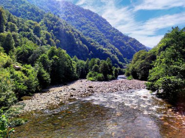 A Canyon with mountain river in Machakhela national park