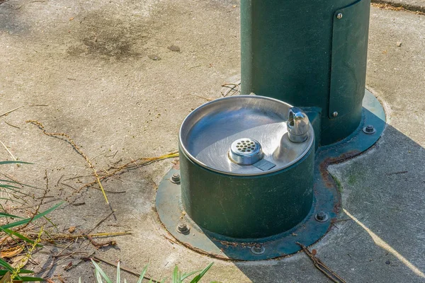 Primer Plano Fuente Agua Pública Para Perros Nueva Orleans Louisiana —  Fotos de Stock