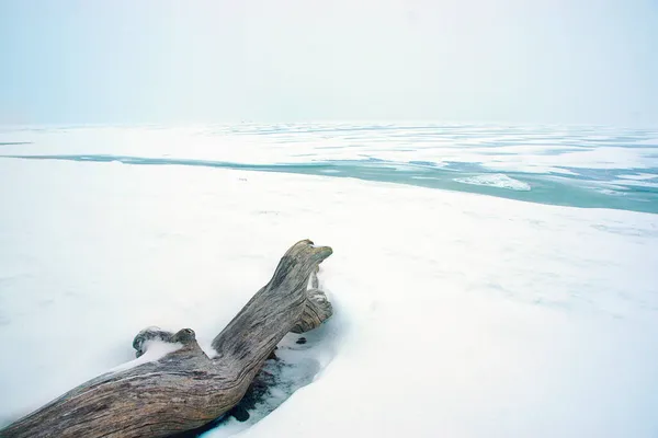 Un tronc de bois texturé se trouve sur la plage enneigée du golfe de Finlande en hiver — Photo