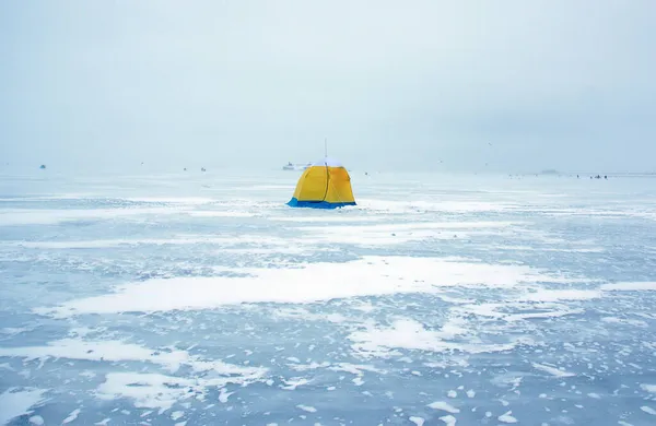 Une Tente Jaune Bleue Dresse Milieu Baie Sur Une Épaisse — Photo
