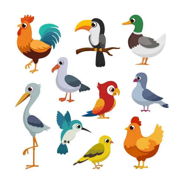 Diferentes Aves Aves Corral Para Educación Los Niños Estilo Dibujos — Vector de stock