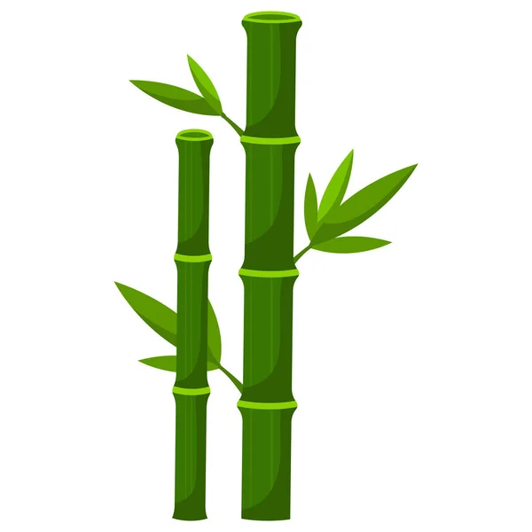 Bamboo Plant Leaves Nature Fresh Asia — Stock Vector