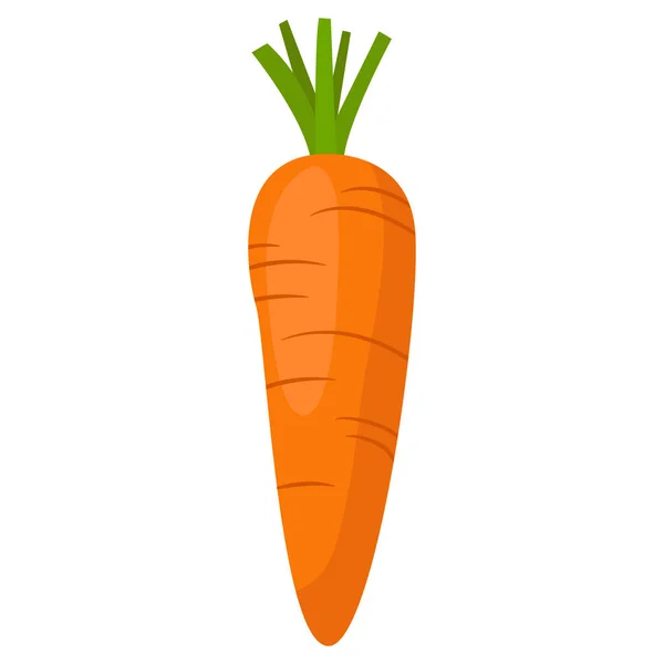 Zanahoria Naranja Ensalada Verduras Agricultura Producto Agrícola — Archivo Imágenes Vectoriales