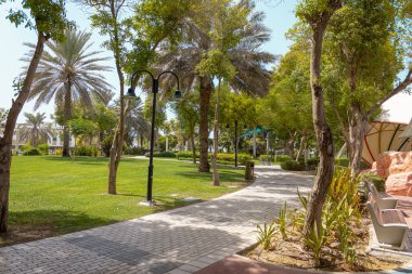 Palmiye ağaçları ve mavi gökyüzü olan güzel tropikal plaj