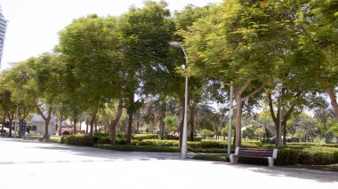 Parkın güzel manzarası