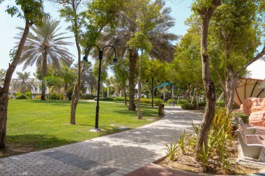 Palmiye ağaçları ve mavi gökyüzü olan güzel tropikal plaj