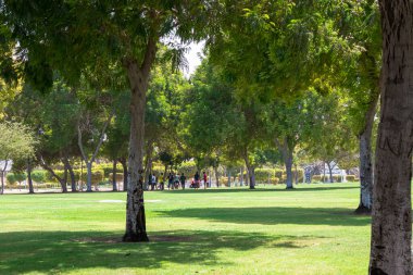Şehirdeki yeşil park