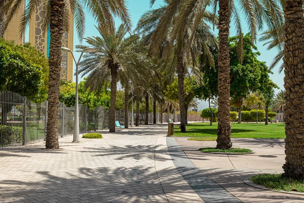 Barselona şehrinin güzel manzarası