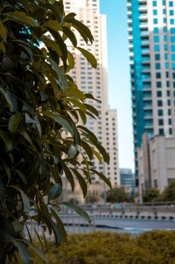 Dubai, uae-Kasım marinası 