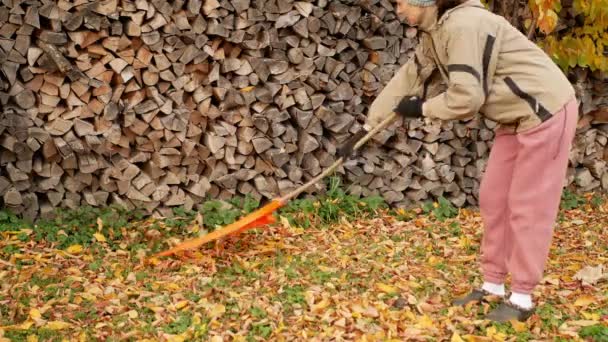 Kvinna rakes fallna löv på bakgården. — Stockvideo