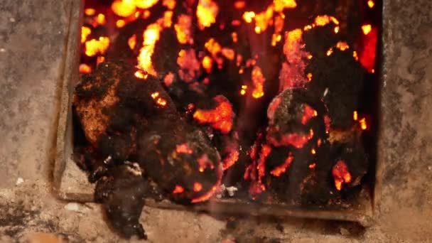 Opening the boilers door, which uses sawdust — Stock Video