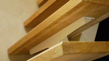 Eve doğru koşan mavi gözlü, siyah ceketli bir kedi.