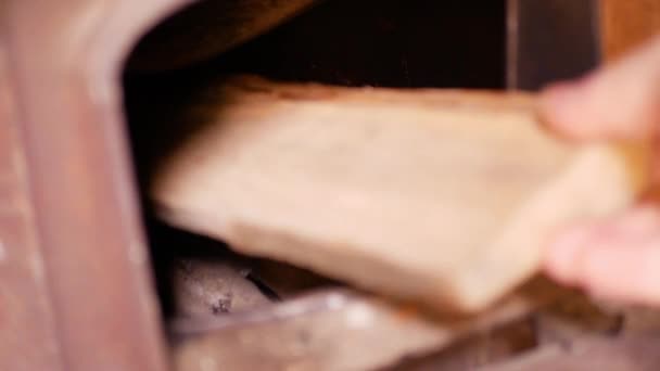 Poner maderas en la estufa del vientre — Vídeo de stock