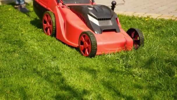 Woman Mows Lawn Using Electric Pushing Lawn Mower Video — Wideo stockowe