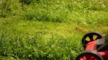 Gardener uses lawn mower in a garden. close-up view