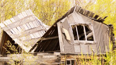 Yıkık çatılı terk edilmiş ahşap bir kır evi.