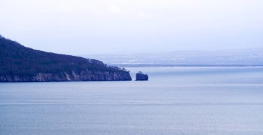 Sakin denizde ağaçlarla kaplı karanlık bir kaya.