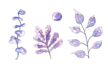 El yapımı suluboya kış bitkisi seti. Botanik illüstrasyon.