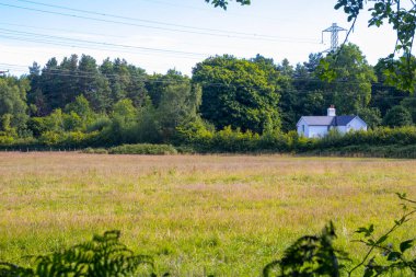 Çitin arkasında beyaz bir ev Yazlık bir arazinin ötesinde