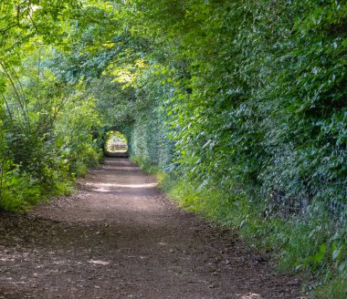 Crawley ve Doğu Grinstead arasındaki yola değer.