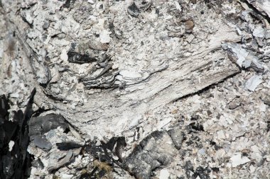 Gri kül dokusu, kül, şöminenin ahşap külleri.