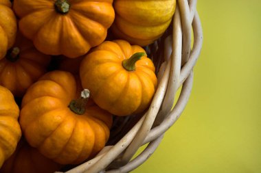 Sarı arka planda balkabakları sepette. Sonbahar hasat kavramı 