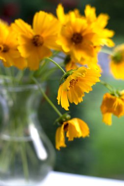 Vazoda güzel sarı çiçeklerle bahar arkaplanı 