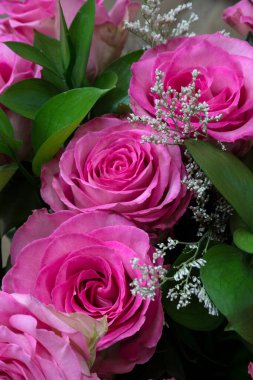 Yeşil hayatlı bir buket kırmızı gül. Sevgililer Günü ya da Anneler Günü konsepti