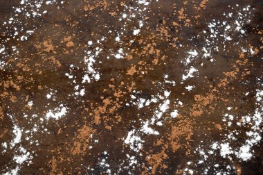 Siyah arka planda çiçek ve kakao tozu. Metin için boşluk