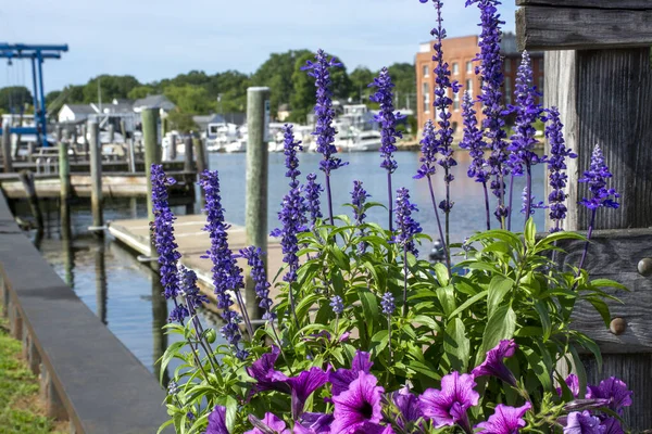 View of Mystic river with flowers in front, Connecticut. Summer 2021