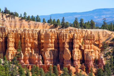 Bryce Canyon Ulusal Parkı, Utah, ABD. Turuncu renk dağları 