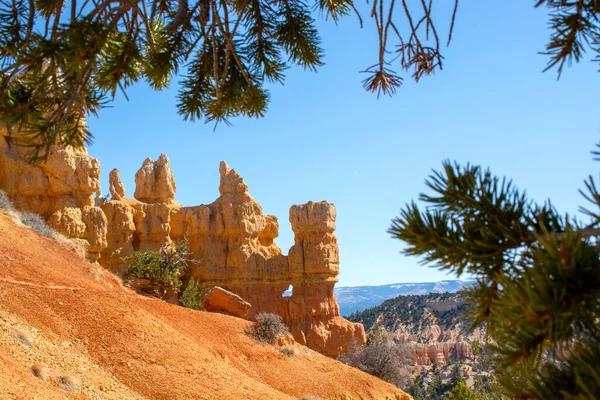 Park Narodowy Bryce Canyon, Utah, Stany Zjednoczone. Widok przez gałęzie sosny — Zdjęcie stockowe
