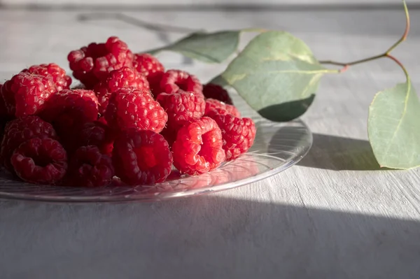 Delicious raspberries on plate with green leaves next to it — Stock Fotó