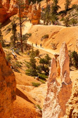  Bryce canyon, Utah, USA. Hoodoos and rock formations. Trails in Bryce park 