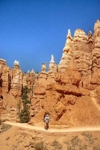 Hoodoos y formaciones rocosas. Formaciones rocosas únicas de piedra arenisca hechas por erosión geológica en el cañón de Bryce, Utah — Foto de Stock