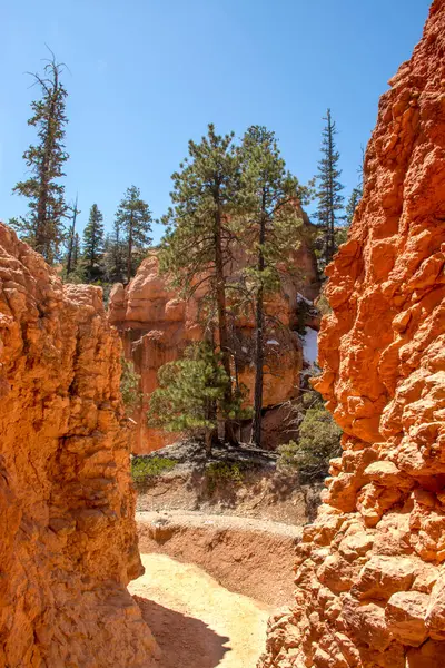 Bryce Canyon National Park, Utah, United States. Trail in Bryce canyon. Hoodoos and rock formations — Zdjęcie stockowe