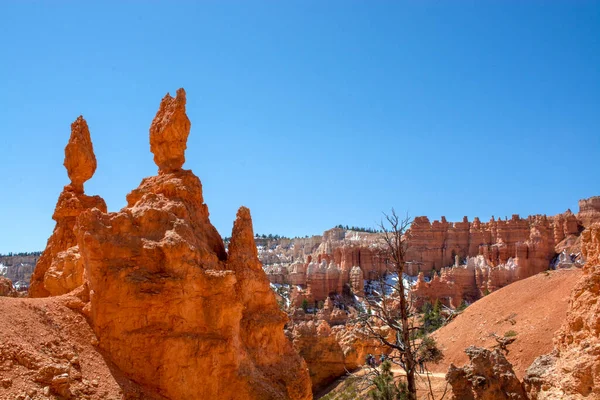Hoodoos y formaciones rocosas. Formaciones rocosas únicas de piedra arenisca hechas por erosión geológica en el cañón de Bryce, Utah, EE.UU.. — Foto de Stock