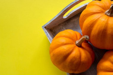 mini pumpkins in basket on bright yellow background . Autumn decor. Space for text . High quality photo