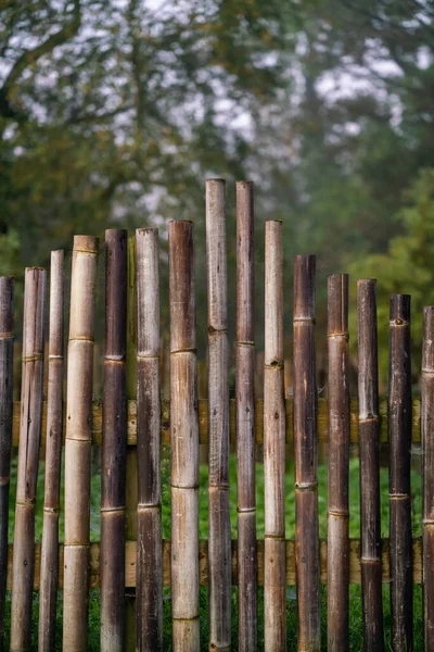 Old Bamboo Fence Close — Stock Photo, Image