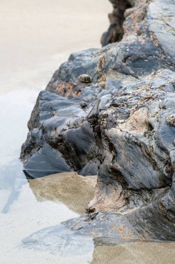 Dalgalar çekildiğinde ıslak kayalar ve kum. Yakın görünüm.