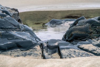 Dalgalar çekildiğinde ıslak kayalar ve kum. Yakın görünüm.