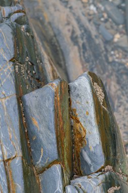 Dalgalar çekildiğinde ıslak kayalar ve kum. Yakın görünüm.