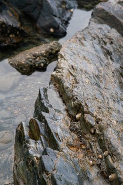 Dalgalar çekildiğinde ıslak kayalar ve kum. Yakın görünüm.